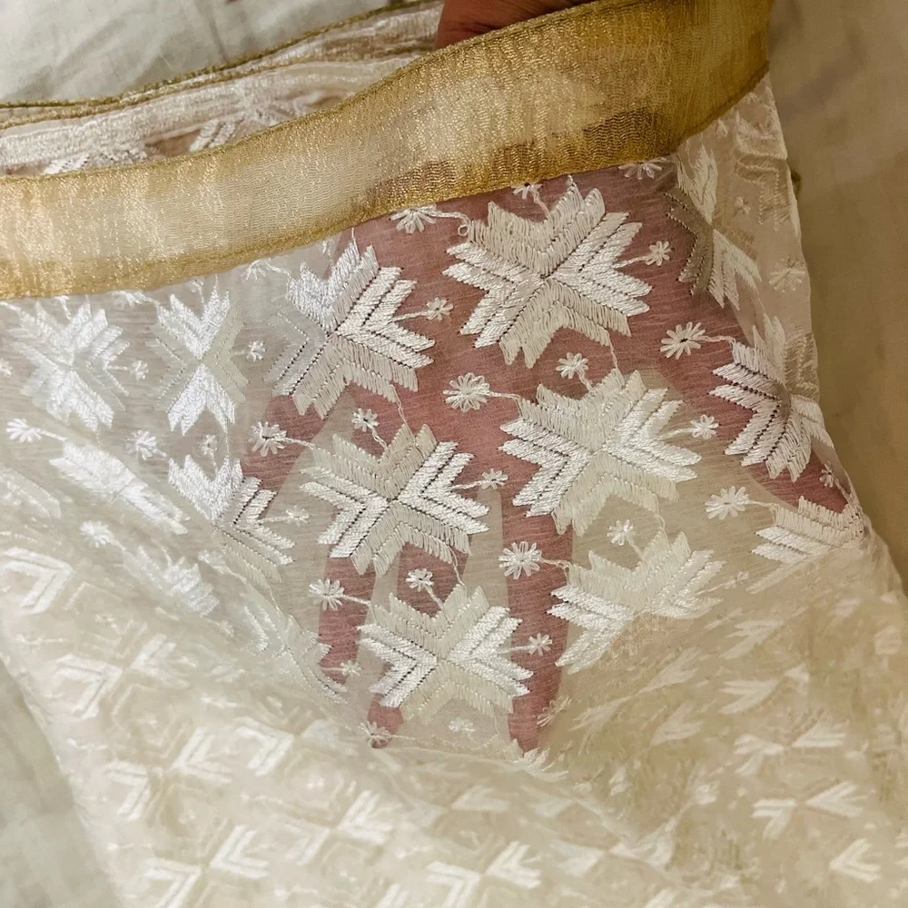 Lucknowi thread Embroidered Saree with slim Petticoat - Picture 8 of 15